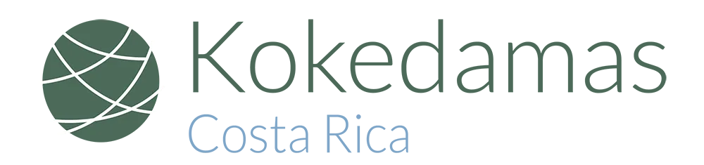 Kokedamas CR