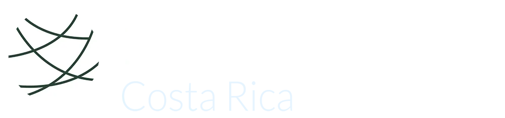 El hermoso arte de las kokedamas
